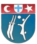 AV Viseu Logo